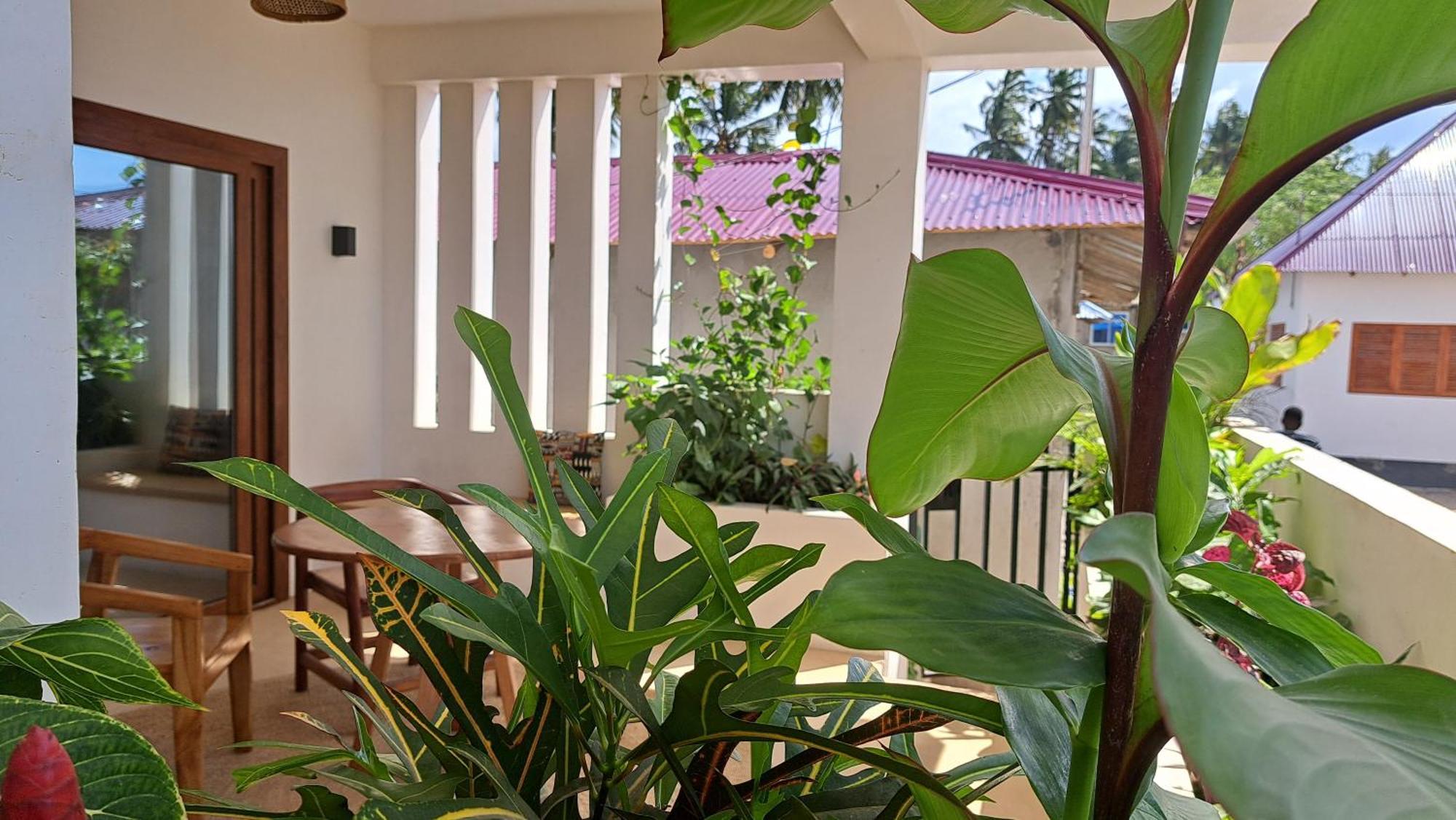 Aluna Beach Apartments Nungwi Zimmer foto