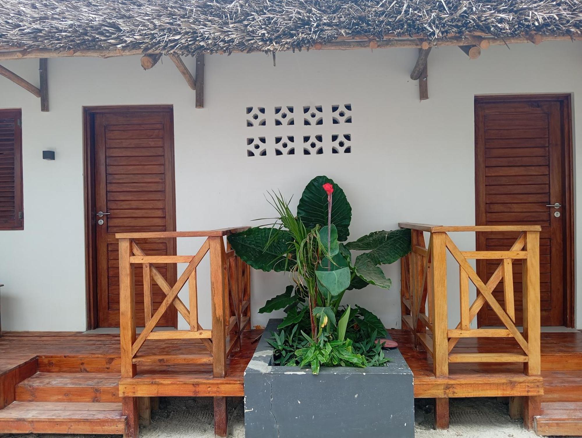 Aluna Beach Apartments Nungwi Exterior foto